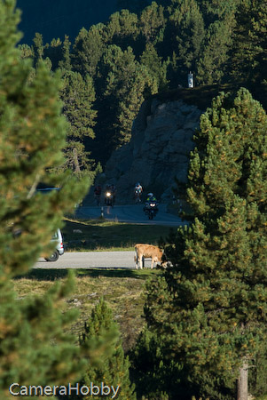 Wieler tour Oostenrijk 2008