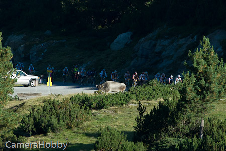 Wieler tour Oostenrijk 2008