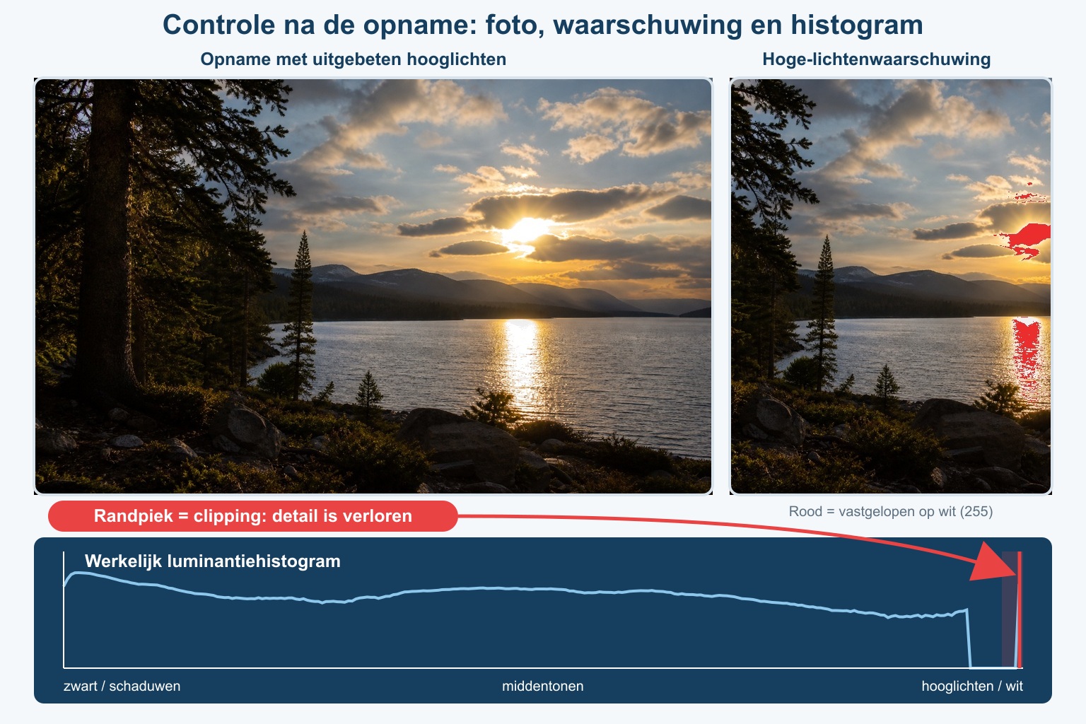 Foto met daarnaast een histogram en een hoge-lichtenwaarschuwing