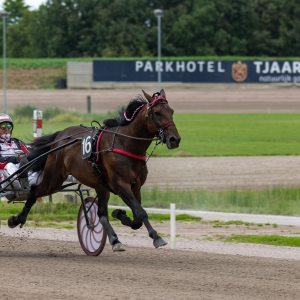 sport-3