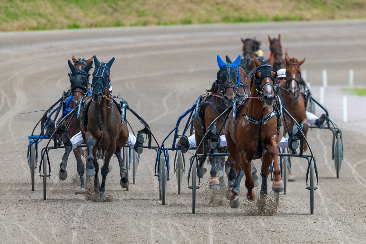 Sportfoto bij de introductie