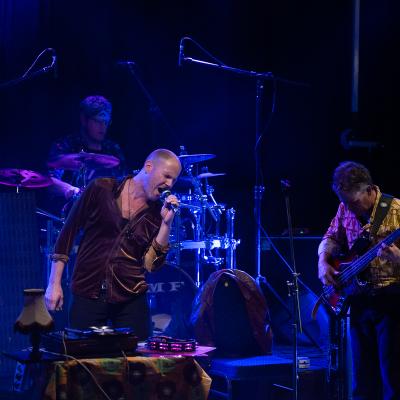 Dmf Rock Coverband 36