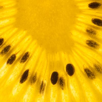 Macro 3