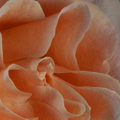 Macro 4