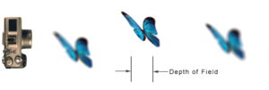 300px-Depth_of_field_diagram